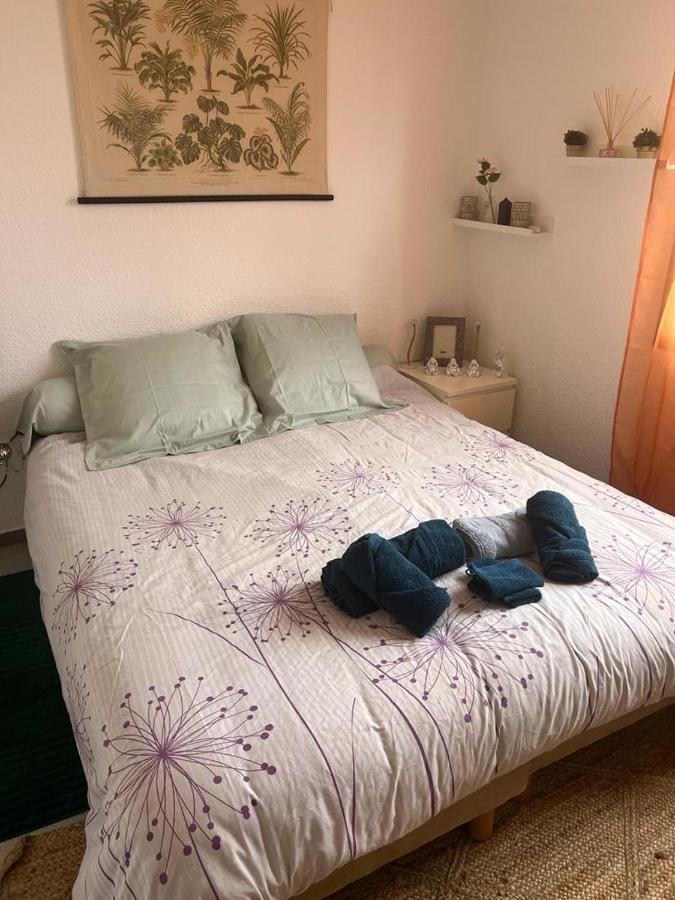Superbe appartement avec parking prive et entrée autonome Rennes Esterno foto